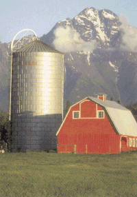 scenic barn with Pioneer Peak